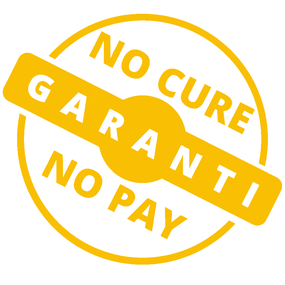 No cure No pay
